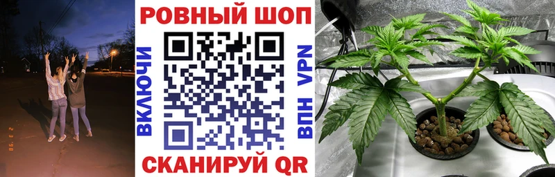 Виды наркоты Дорогобуж СОЛЬ ОМГ ОМГ ONION ГАШИШ МЕФ