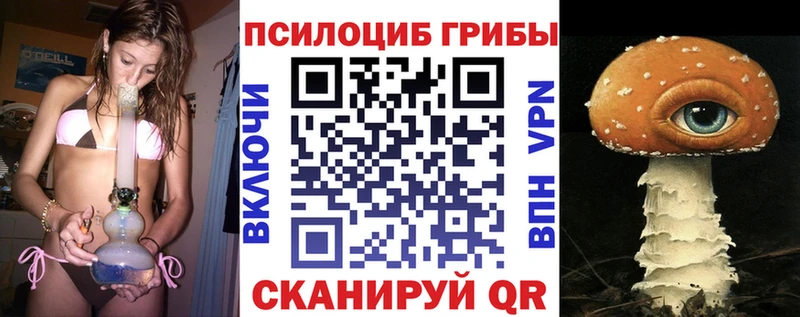 Псилоцибиновые грибы ЛСД  наркота  Дорогобуж 